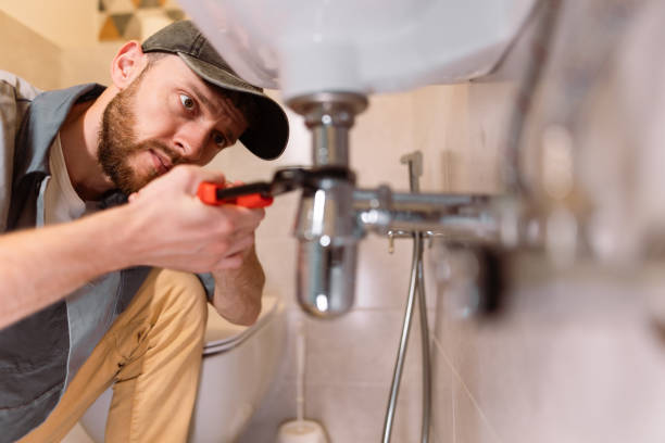 Boilers & Radiators